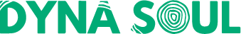 Dyna soul solutions